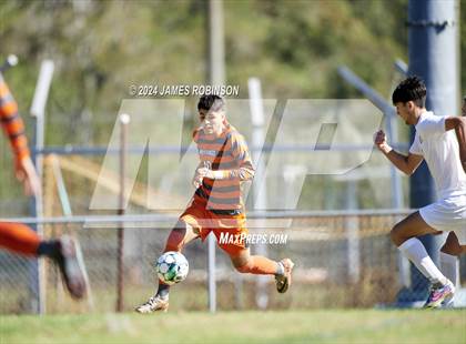 Thumbnail 2 in Fleming Island @ Mandarin photogallery.