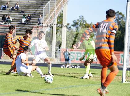 Thumbnail 1 in Fleming Island @ Mandarin photogallery.