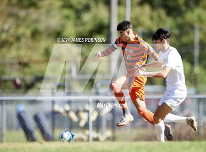 Thumbnail 2 in Fleming Island @ Mandarin photogallery.