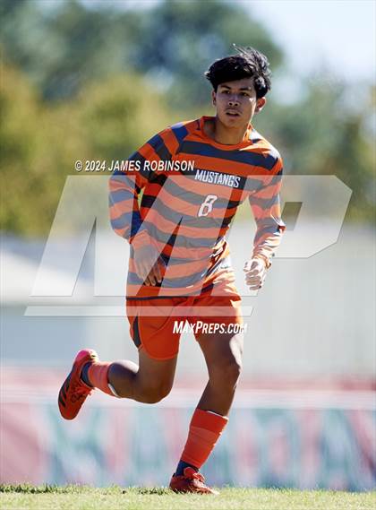 Thumbnail 1 in Fleming Island @ Mandarin photogallery.