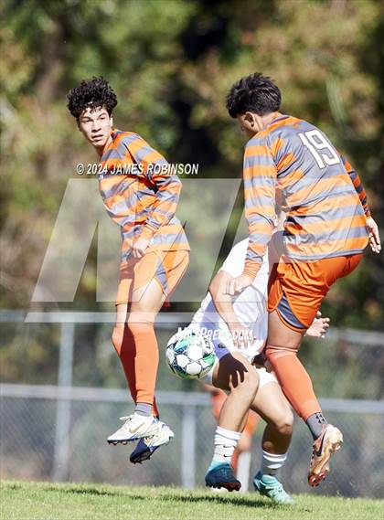 Thumbnail 1 in Fleming Island @ Mandarin photogallery.
