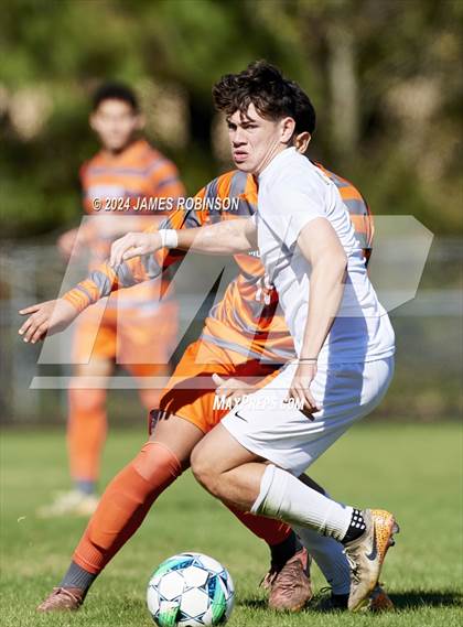Thumbnail 2 in Fleming Island @ Mandarin photogallery.