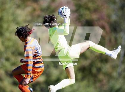 Thumbnail 2 in Fleming Island @ Mandarin photogallery.
