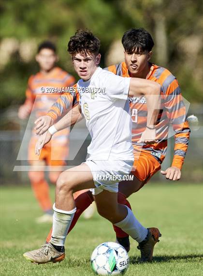 Thumbnail 3 in Fleming Island @ Mandarin photogallery.