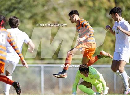 Thumbnail 3 in Fleming Island @ Mandarin photogallery.