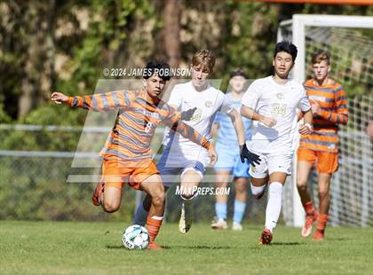 Thumbnail 1 in Fleming Island @ Mandarin photogallery.