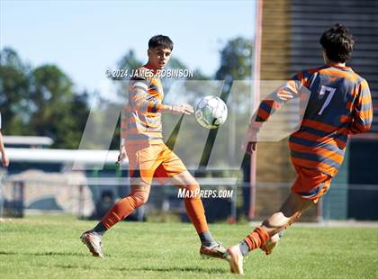 Thumbnail 1 in Fleming Island @ Mandarin photogallery.