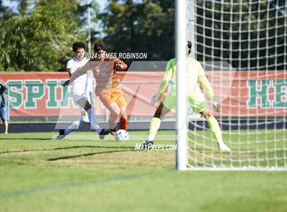 Thumbnail 2 in Fleming Island @ Mandarin photogallery.
