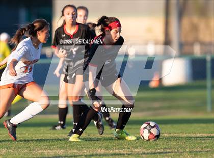 Thumbnail 1 in Churchill VS Madison photogallery.