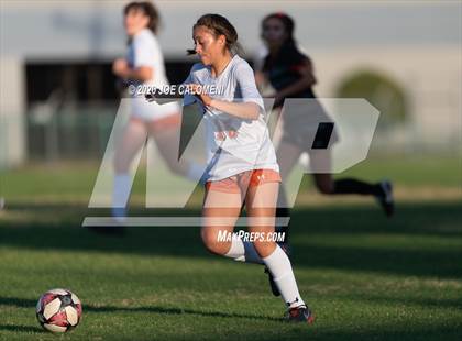 Thumbnail 3 in Churchill VS Madison photogallery.