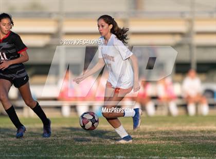 Thumbnail 2 in Churchill VS Madison photogallery.