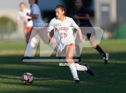 Thumbnail 2 in Churchill VS Madison photogallery.