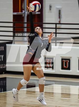 Mesa @ Hamilton