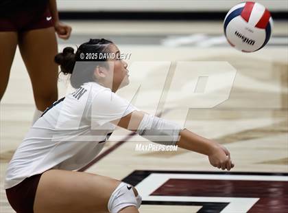 Thumbnail 3 in JV: Mesa @ Hamilton photogallery.