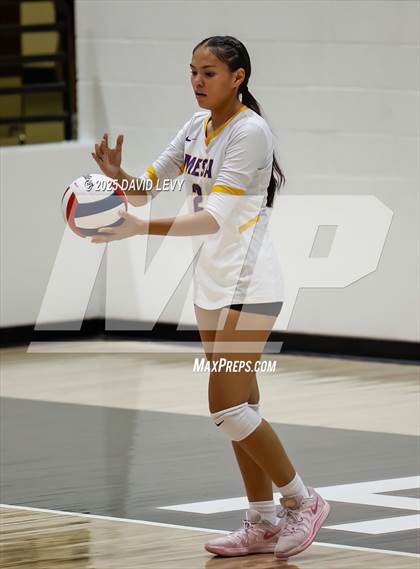 Thumbnail 3 in JV: Mesa @ Hamilton photogallery.