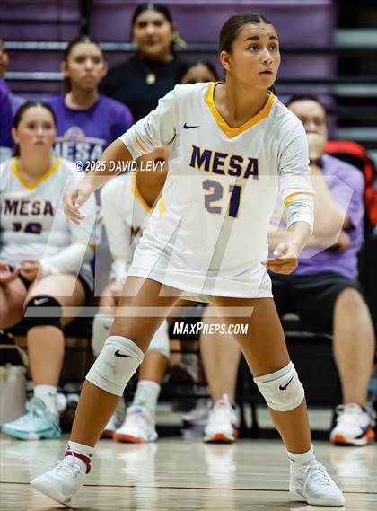 Thumbnail 2 in JV: Mesa @ Hamilton photogallery.