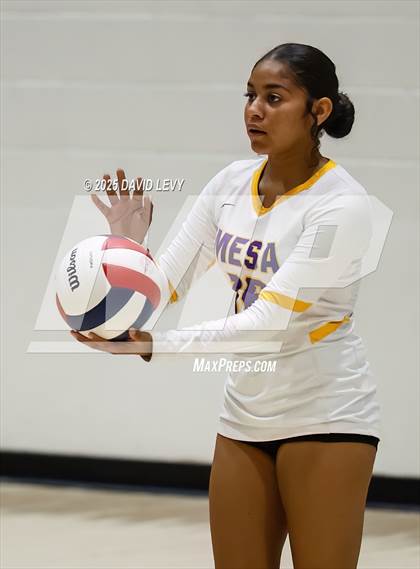 Thumbnail 2 in JV: Mesa @ Hamilton photogallery.