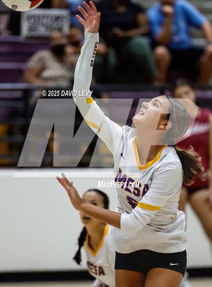 Thumbnail 2 in JV: Mesa @ Hamilton photogallery.