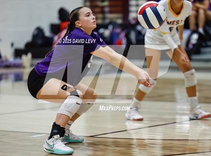 Thumbnail 2 in JV: Mesa @ Hamilton photogallery.