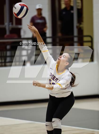 Thumbnail 1 in JV: Mesa @ Hamilton photogallery.