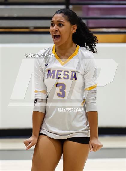 Thumbnail 1 in JV: Mesa @ Hamilton photogallery.