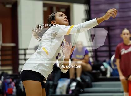 Thumbnail 3 in JV: Mesa @ Hamilton photogallery.