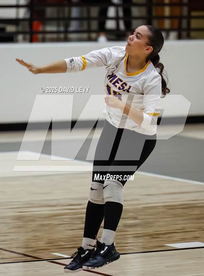 Thumbnail 2 in JV: Mesa @ Hamilton photogallery.