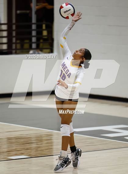 Thumbnail 1 in JV: Mesa @ Hamilton photogallery.