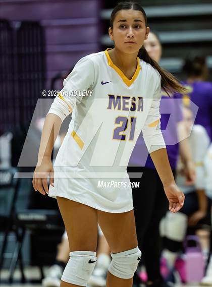 Thumbnail 1 in JV: Mesa @ Hamilton photogallery.