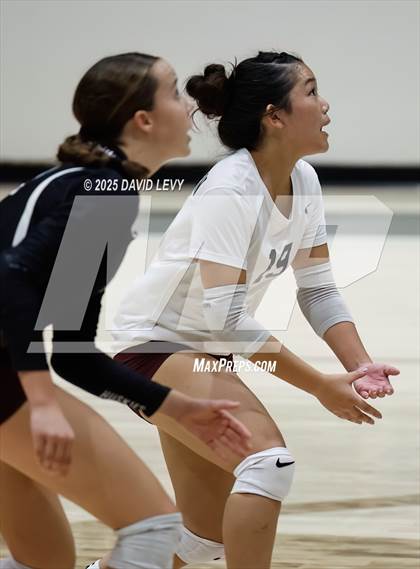 Thumbnail 2 in JV: Mesa @ Hamilton photogallery.