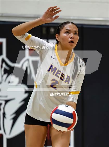 Thumbnail 2 in JV: Mesa @ Hamilton photogallery.