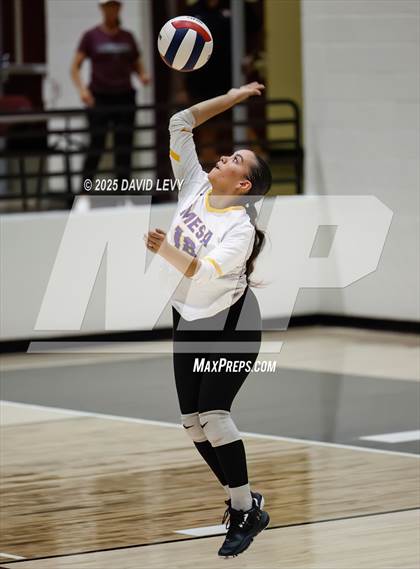 Thumbnail 3 in JV: Mesa @ Hamilton photogallery.