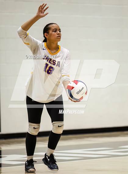 Thumbnail 2 in JV: Mesa @ Hamilton photogallery.