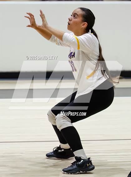 Thumbnail 1 in JV: Mesa @ Hamilton photogallery.