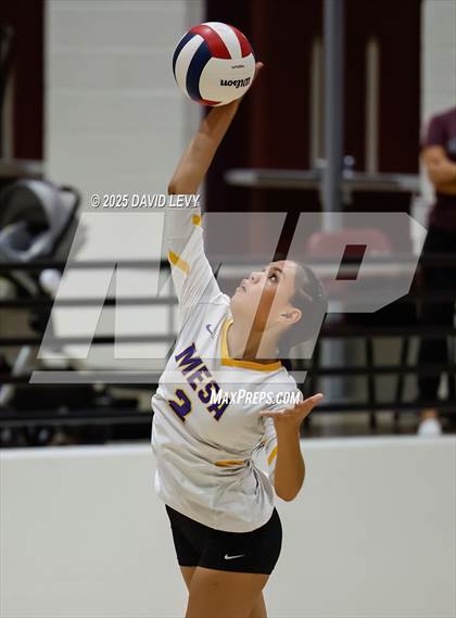 Thumbnail 1 in JV: Mesa @ Hamilton photogallery.