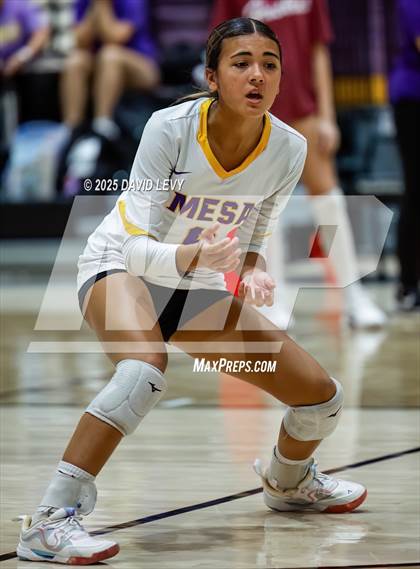 Thumbnail 2 in JV: Mesa @ Hamilton photogallery.