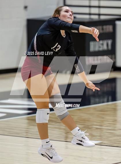 Thumbnail 3 in JV: Mesa @ Hamilton photogallery.