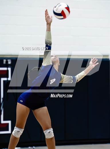 null - Photo 11