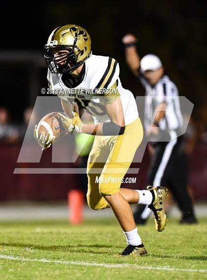 Thumbnail 1 in Bishop Moore @ Edgewater photogallery.