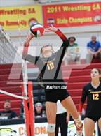 Photo from the gallery "Mesa Ridge @ Coronado"