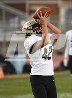 Photo from the gallery "Knight @ Quartz Hill"