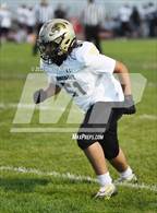 Photo from the gallery "Knight @ Quartz Hill"