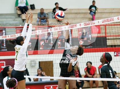 Thumbnail 3 in DeSoto @ Cedar Hill photogallery.