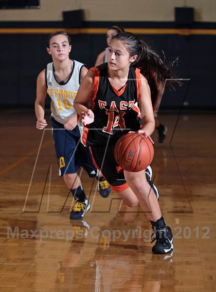 Thumbnail 1 in JV: Morristown-Hamblen East @ Seymour photogallery.