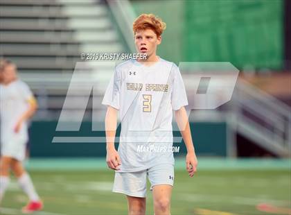 Thumbnail 3 in Holly Springs @ Cardinal Gibbons photogallery.