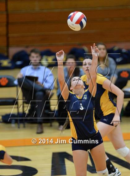 Thumbnail 3 in Neuqua Valley @ Wheaton-Warrenville South photogallery.