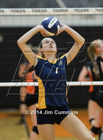 Thumbnail 2 in Neuqua Valley @ Wheaton-Warrenville South photogallery.