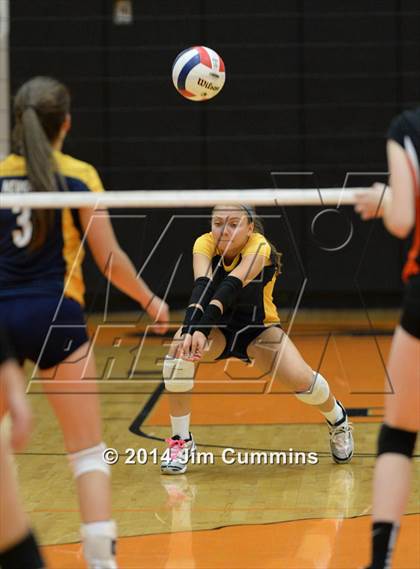 Thumbnail 1 in Neuqua Valley @ Wheaton-Warrenville South photogallery.