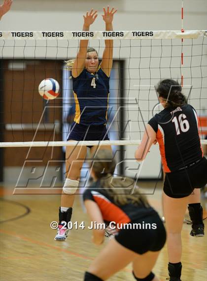 Thumbnail 2 in Neuqua Valley @ Wheaton-Warrenville South photogallery.