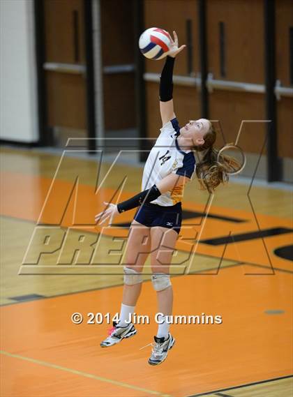 Thumbnail 1 in Neuqua Valley @ Wheaton-Warrenville South photogallery.